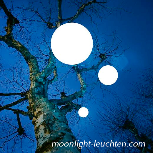 Moonlight-Pendelleuchten in einem Baum hängend.