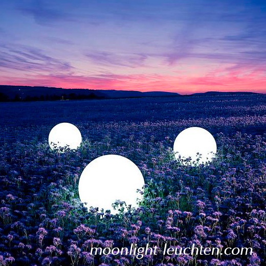 Moonlight Vollkugelleuchten auf einem Blumen-Feld.